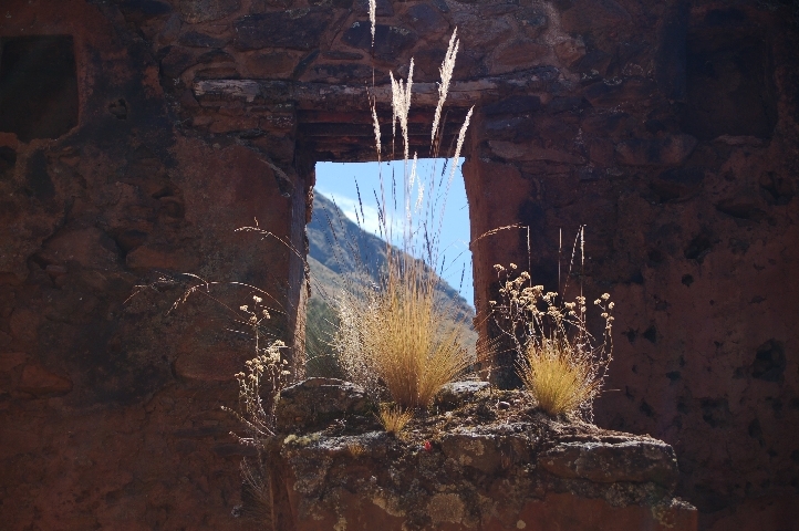 Inka Fenster.jpg.jpg